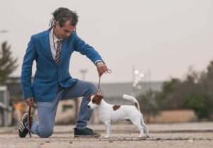 Read more about the article Il codice etico dell’allevatore ENCI