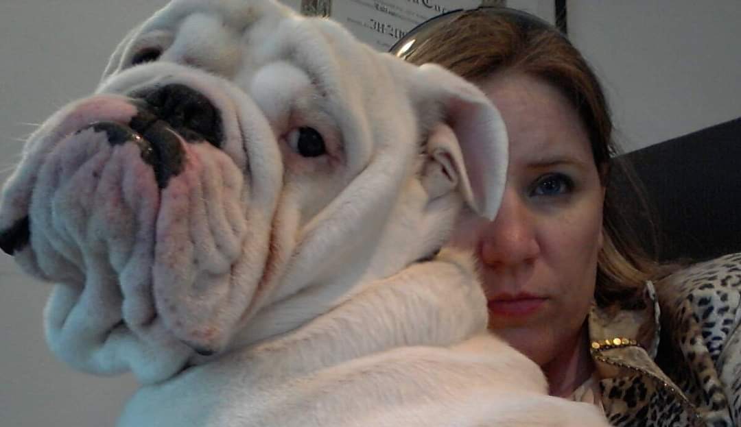 Read more about the article Un cane alla moda su quattro è meticcio, la denuncia di Cucco