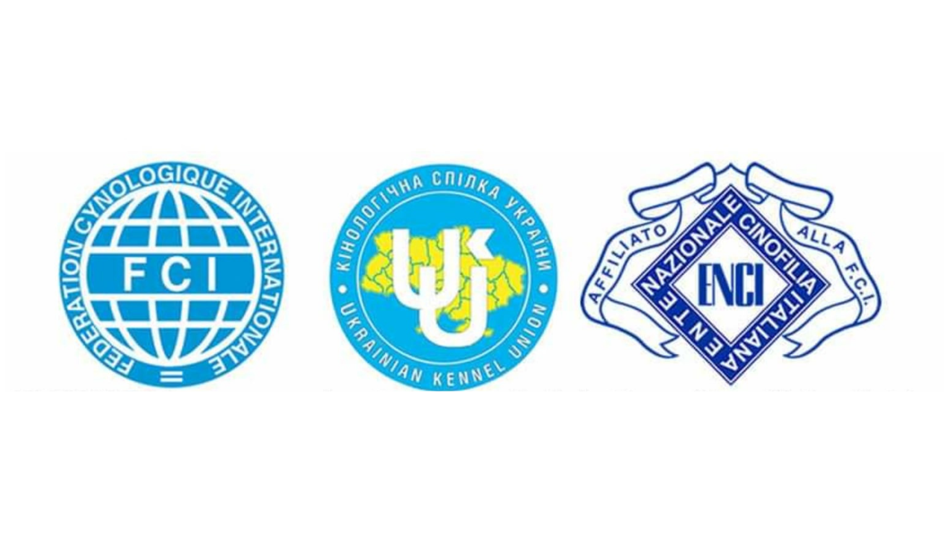 Read more about the article UCRAINA: comunicato FCI e iniziative di solidarietà