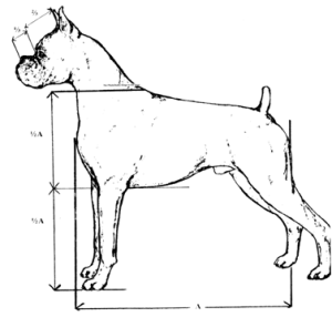 Read more about the article Structure and Movement part.1