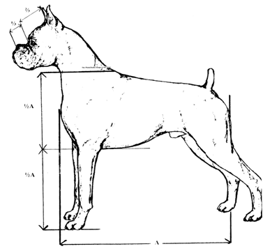 Read more about the article Structure and Movement part.1