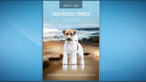 Read more about the article Type versus Style