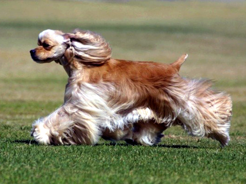 Read more about the article Structure and Movement part.2