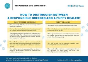 Read more about the article How to distinguish between a responsible breeder and a puppy dealer?