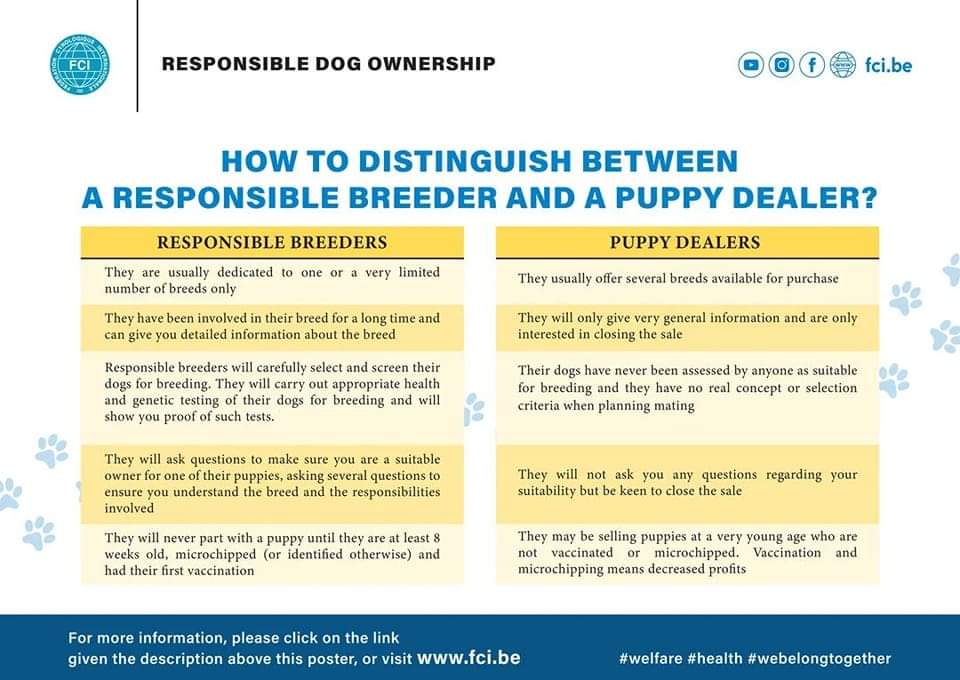 Read more about the article How to distinguish between a responsible breeder and a puppy dealer?