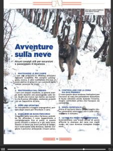 Read more about the article Avventure sulla neve!
