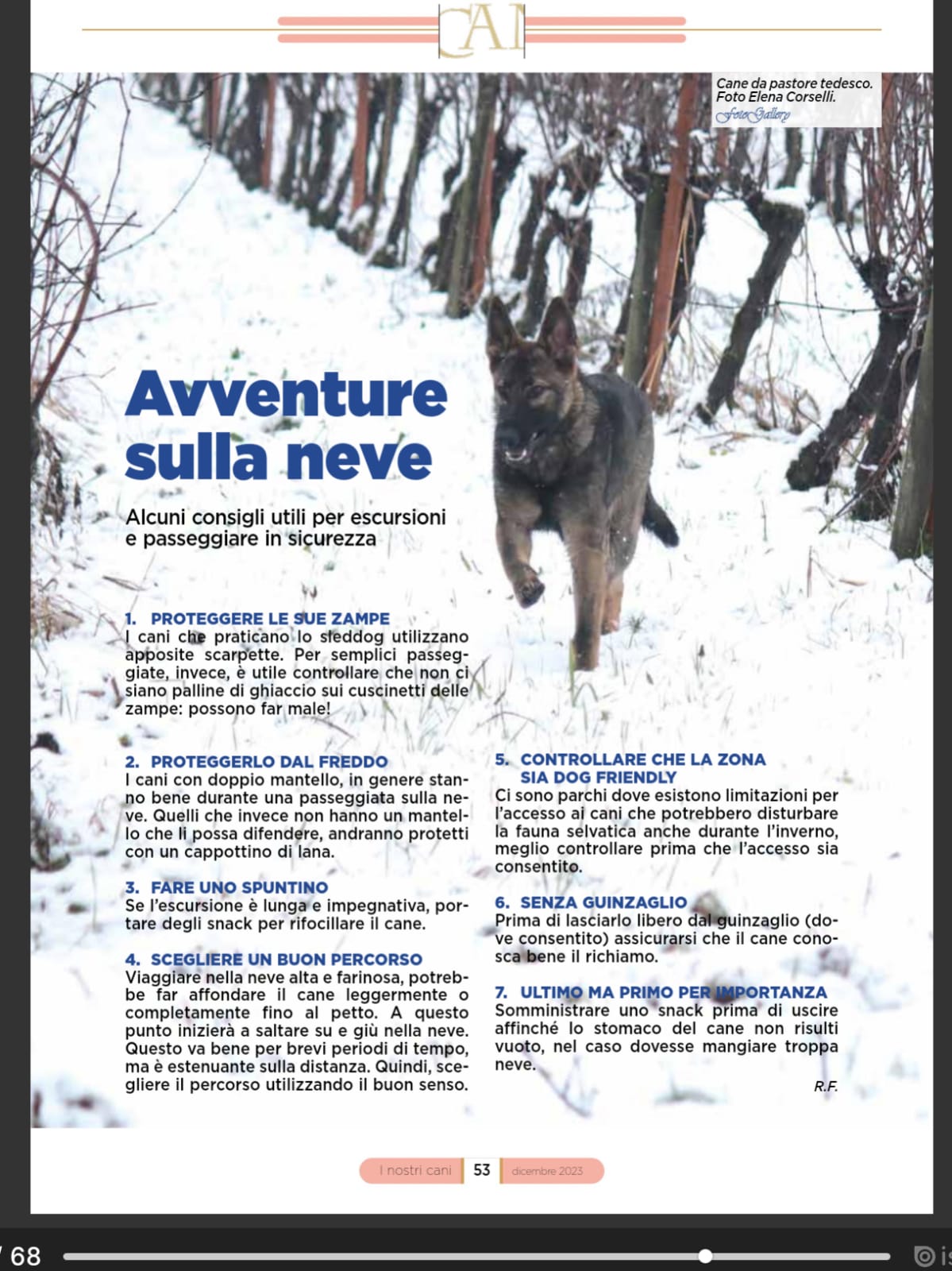 Read more about the article Avventure sulla neve!